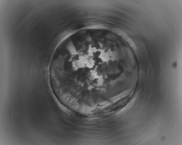 X0000102481425200808221656