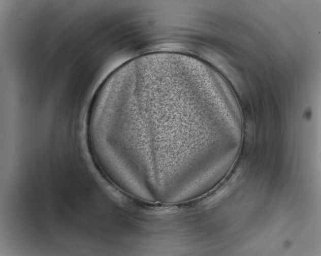 X0000102481426200808221656