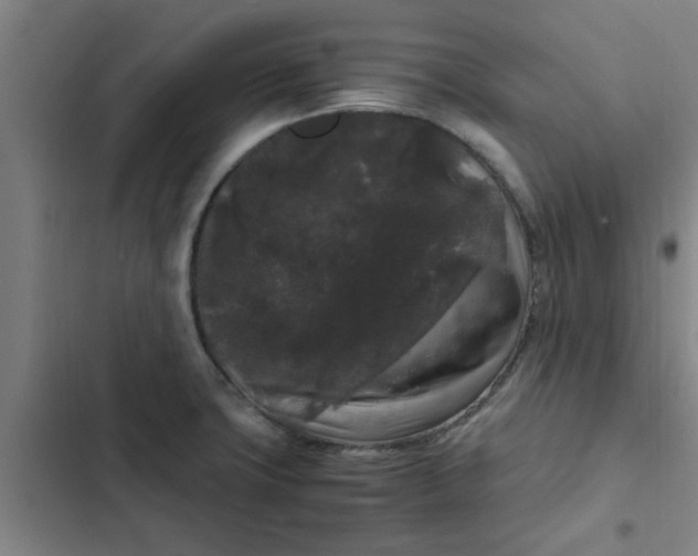 X0000102481427200808221656