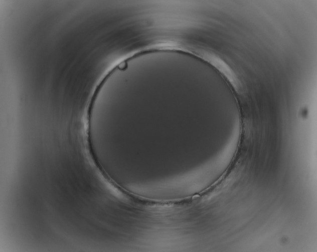 X0000102481428200808221656