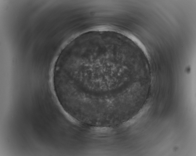 X0000102481429200808221656