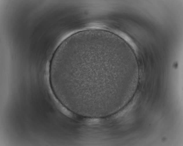 X0000102481431200808221656