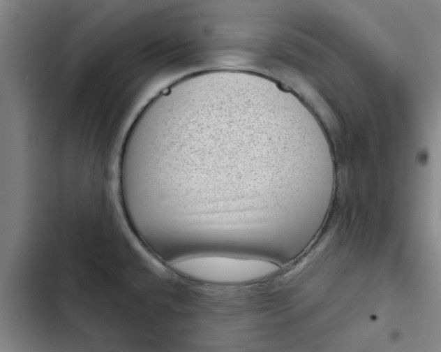 X0000102481432200808221656