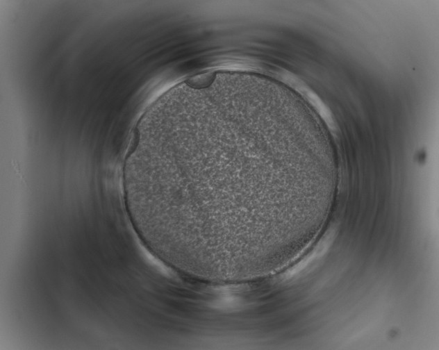 X0000102481433200808221656