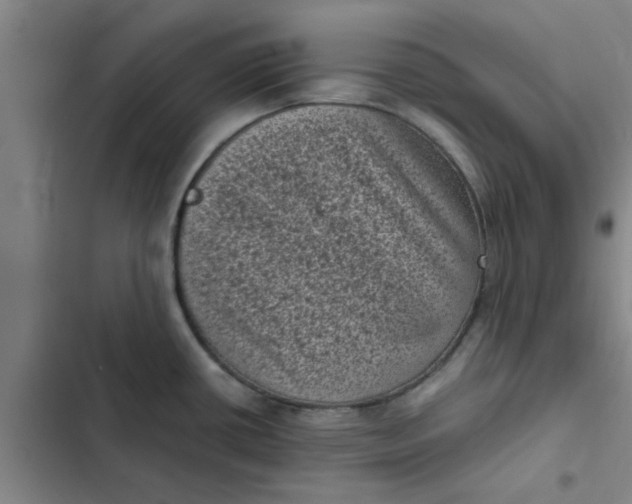 X0000102481434200808221656