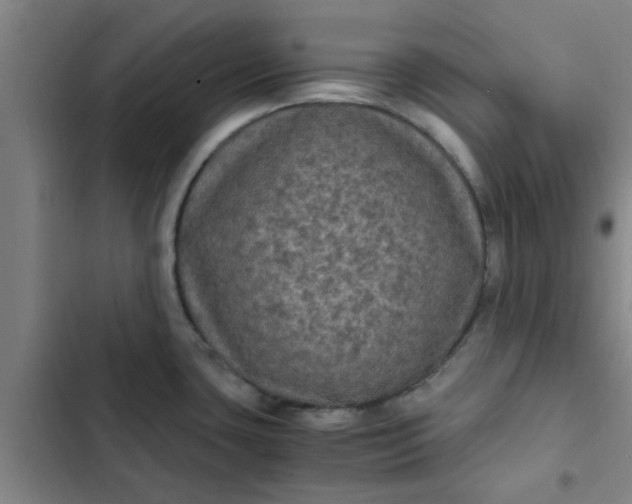 X0000102481435200808221656