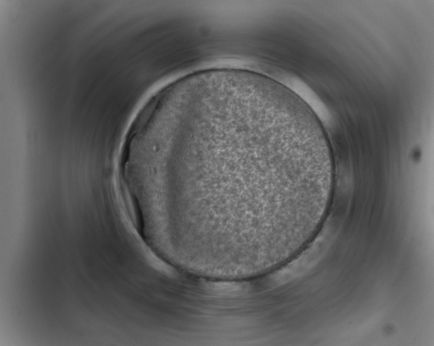 X0000102481436200808221656