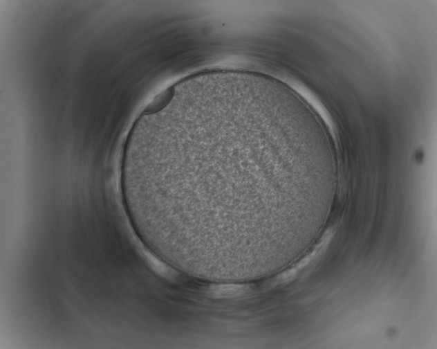 X0000102481437200808221656