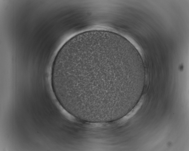 X0000102481438200808221656