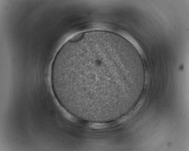 X0000102481439200808221656