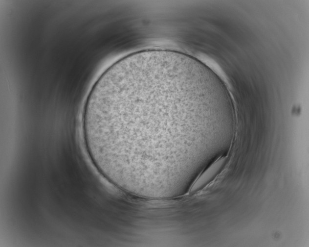 X0000102481440200808221656