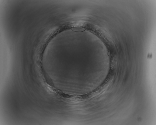 X0000102481441200808221655