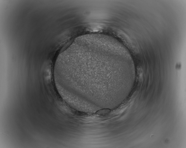 X0000102481442200808221655