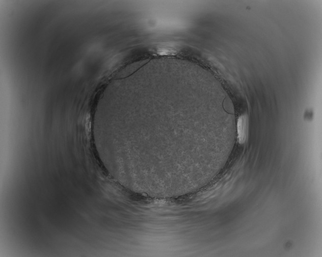 X0000102481443200808221655