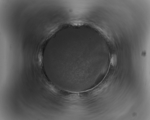 X0000102481444200808221655