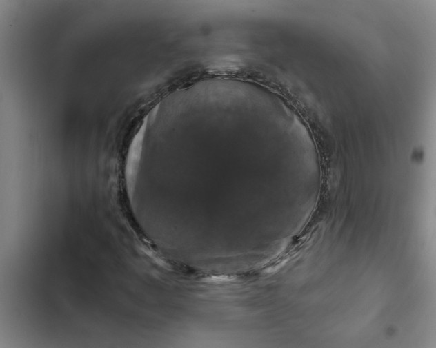 X0000102481445200808221655