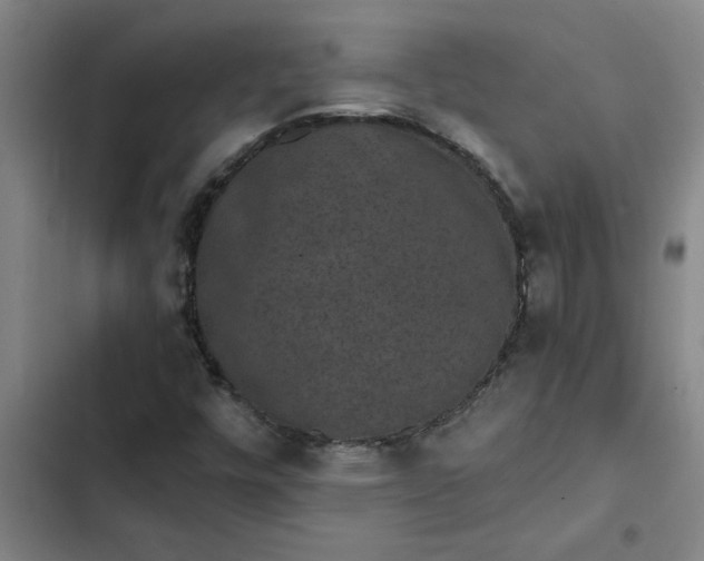 X0000102481448200808221655