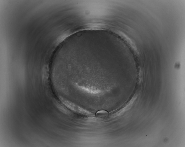 X0000102481449200808221655