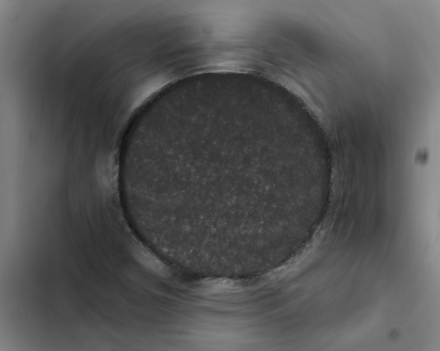 X0000102481450200808221655