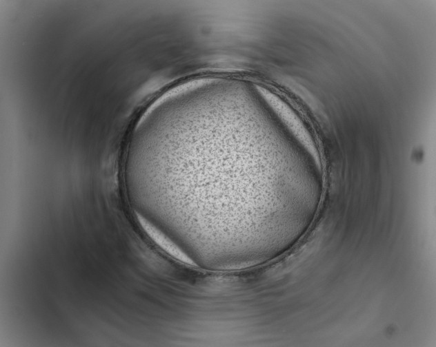 X0000102481451200808221655