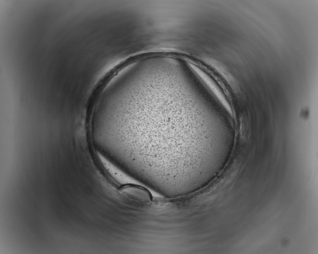 X0000102481452200808221655