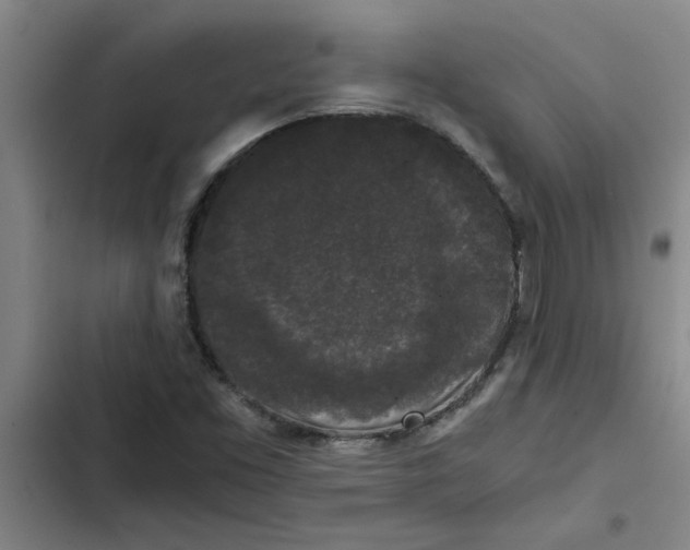 X0000102481453200808221655