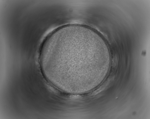 X0000102481454200808221655