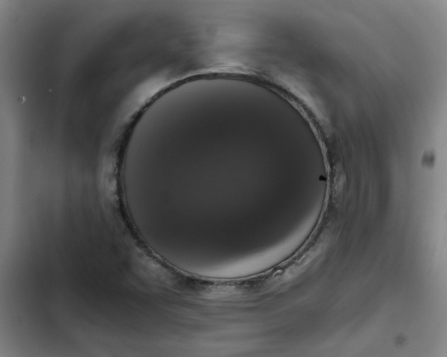 X0000102481455200808221655