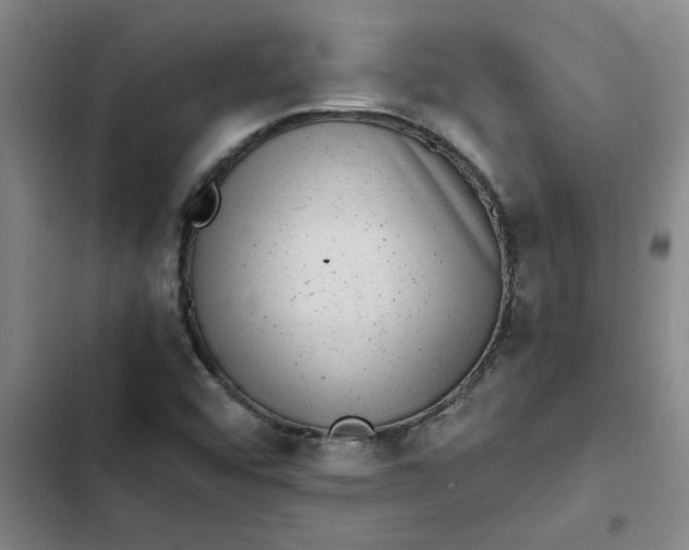 X0000102481456200808221655