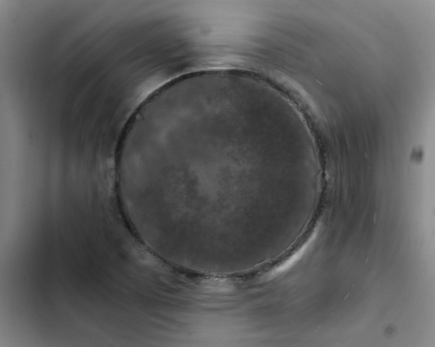 X0000102481457200808221655