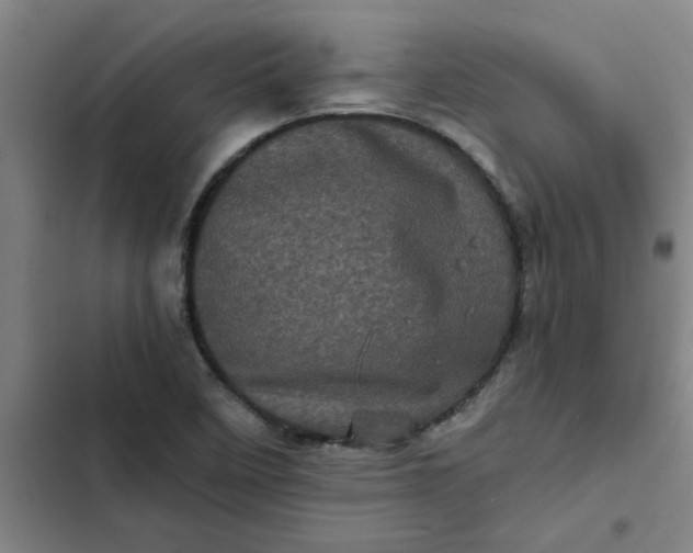 X0000102481458200808221655