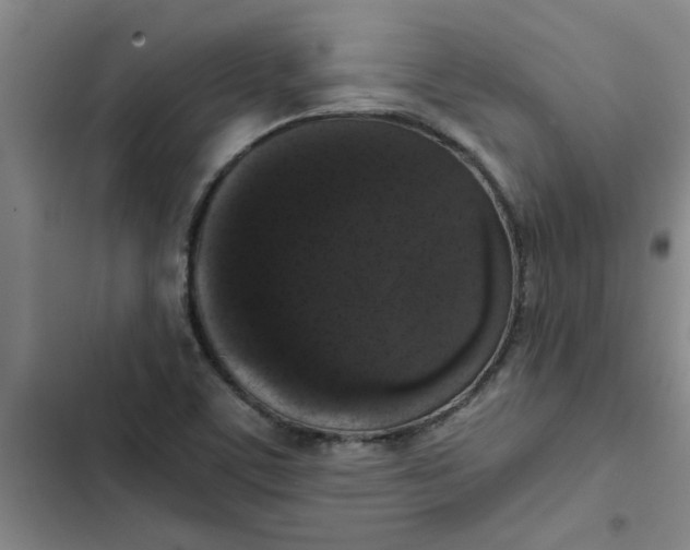 X0000102481459200808221655