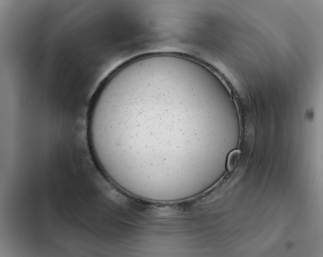 X0000102481460200808221655