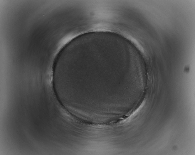 X0000102481461200808221655