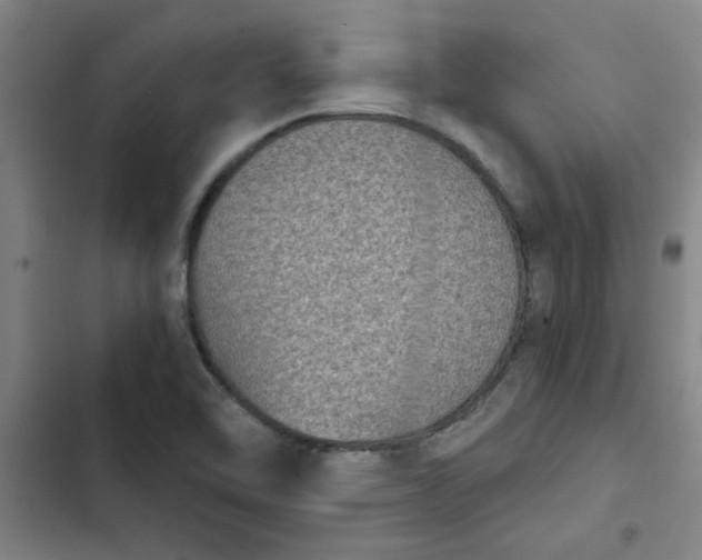 X0000102481462200808221655