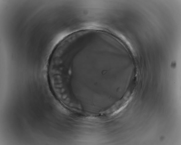 X0000102481463200808221655