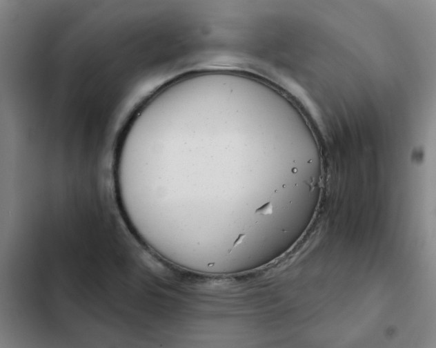 X0000102481464200808221655