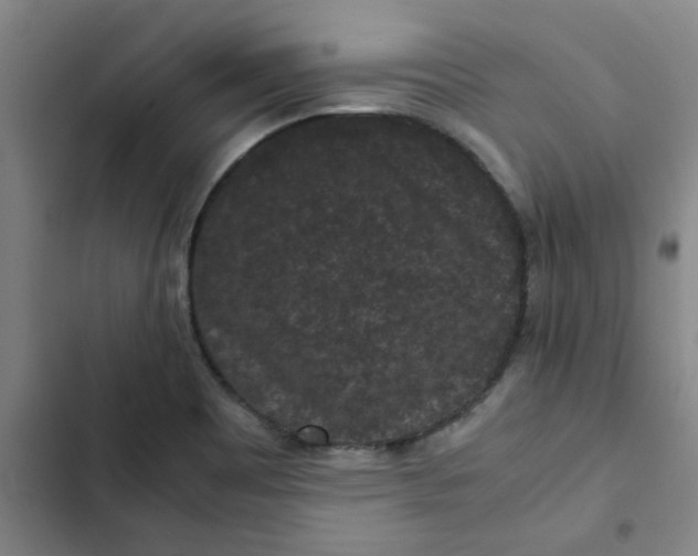 X0000102481465200808221655