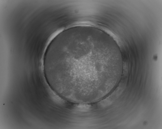 X0000102481466200808221655