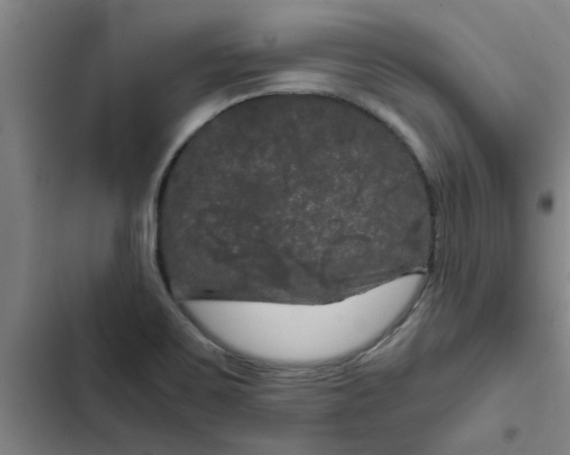 X0000102481467200808221655