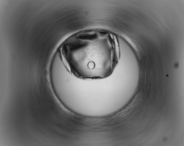 X0000102481468200808221655