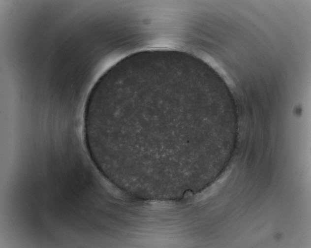 X0000102481469200808221655