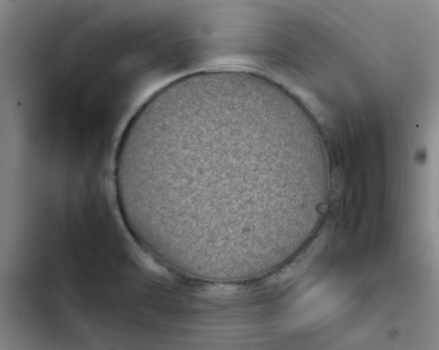 X0000102481470200808221655