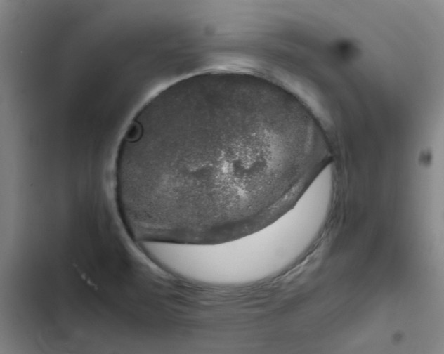 X0000102481471200808221655