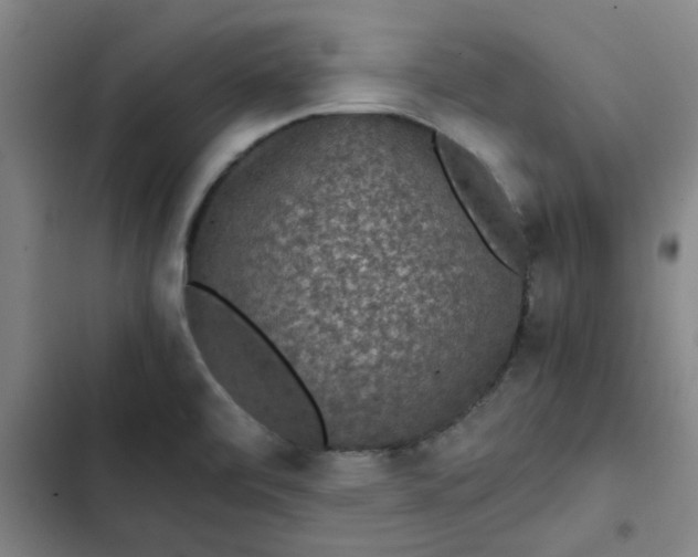 X0000102481472200808221655