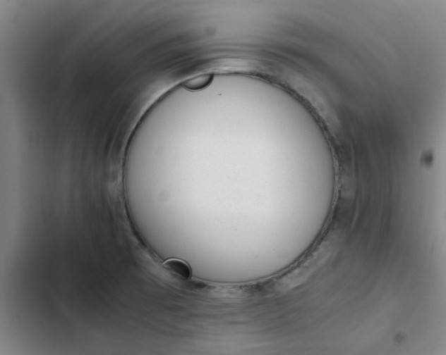 X0000102481473200808221655