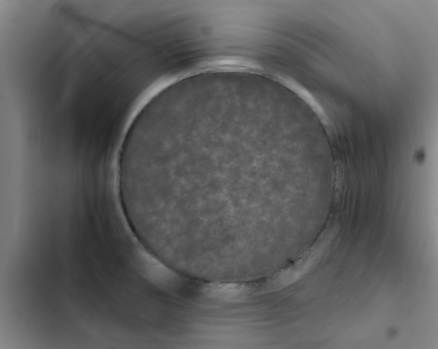 X0000102481474200808221655