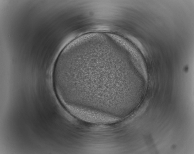 X0000102481475200808221655