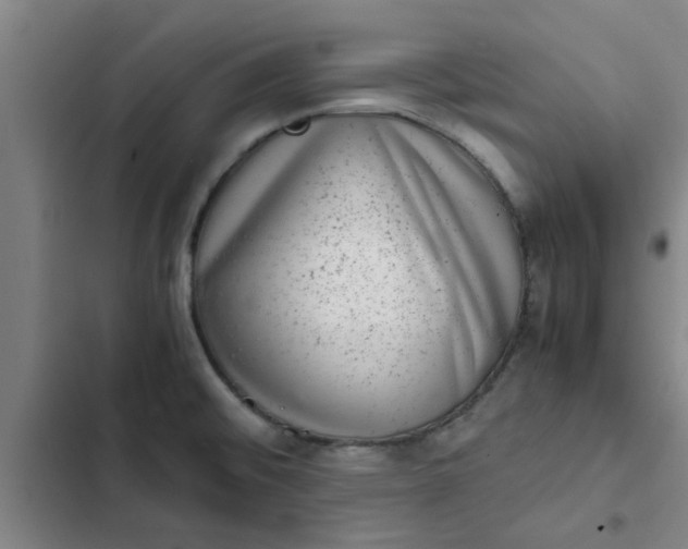 X0000102481476200808221655