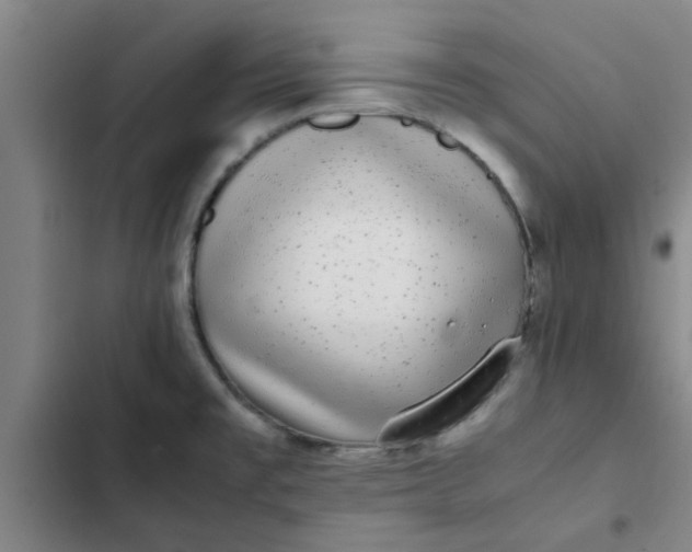 X0000102481477200808221655